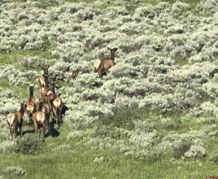 Residential Land in Powderhorn, CO