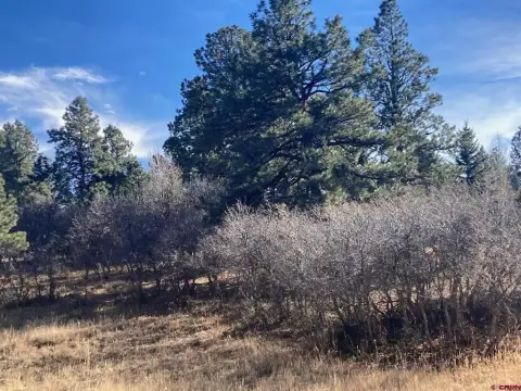 Divide Ranch Land Opportunity