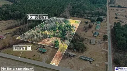 Hamer, SC Homesite Opportunity