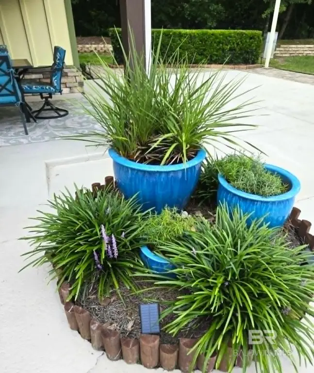 Picture 25