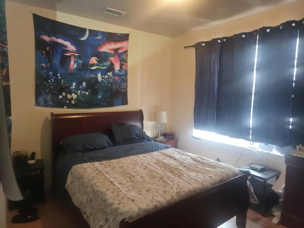 Picture 29