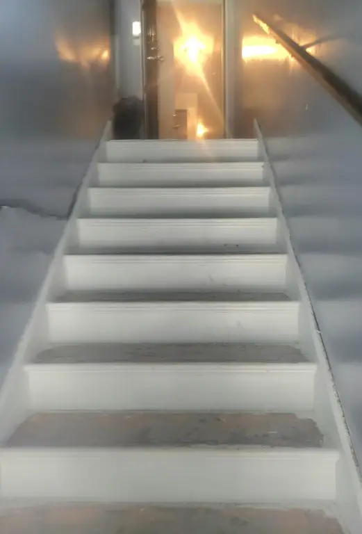Picture 25