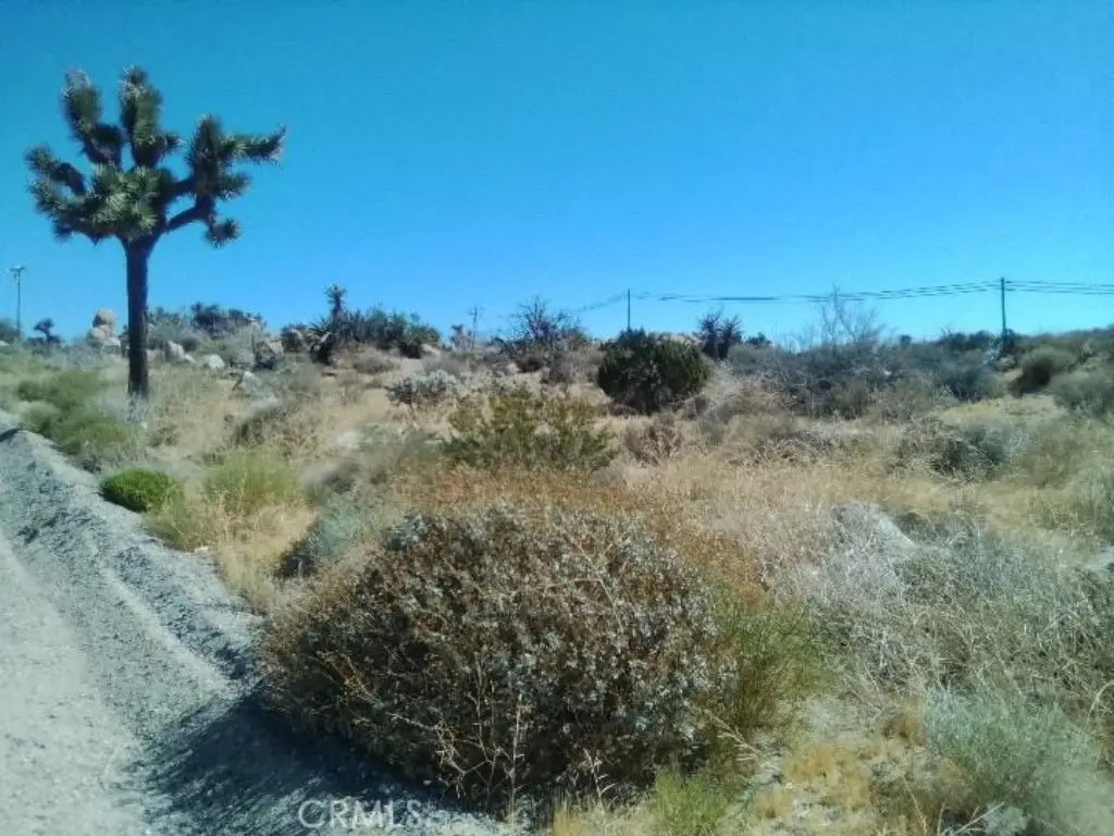 Picture 5