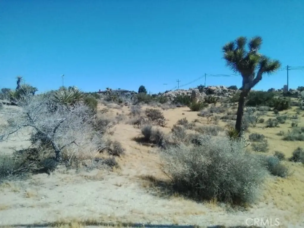 Picture 9