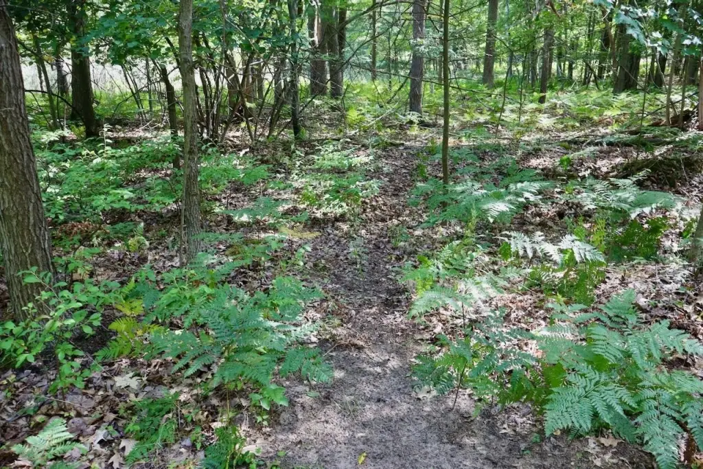 Picture 13