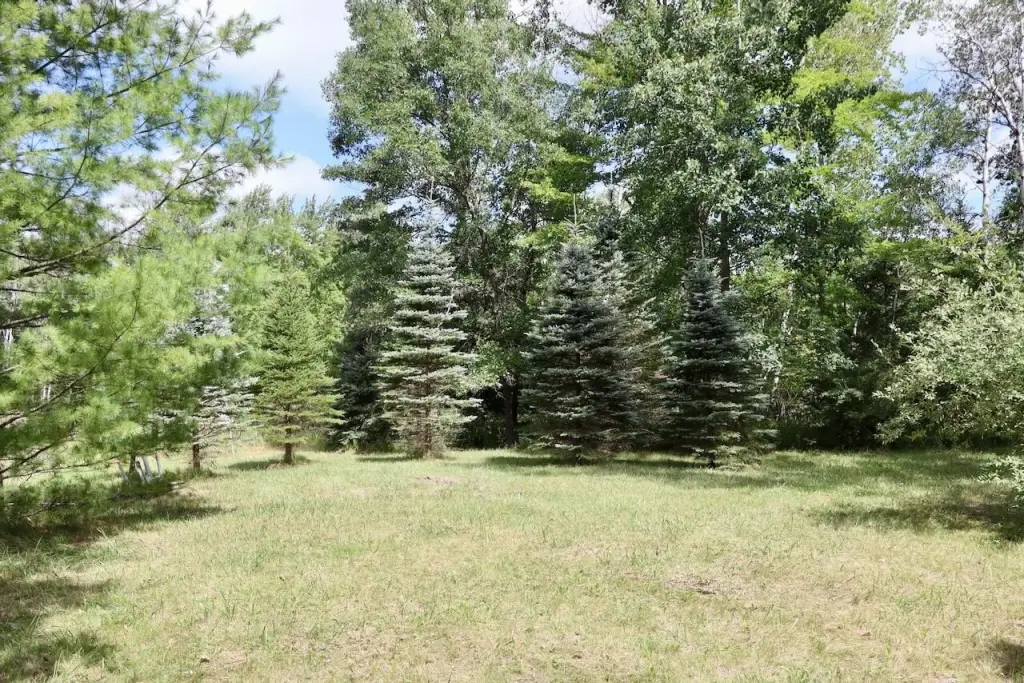 Picture 19