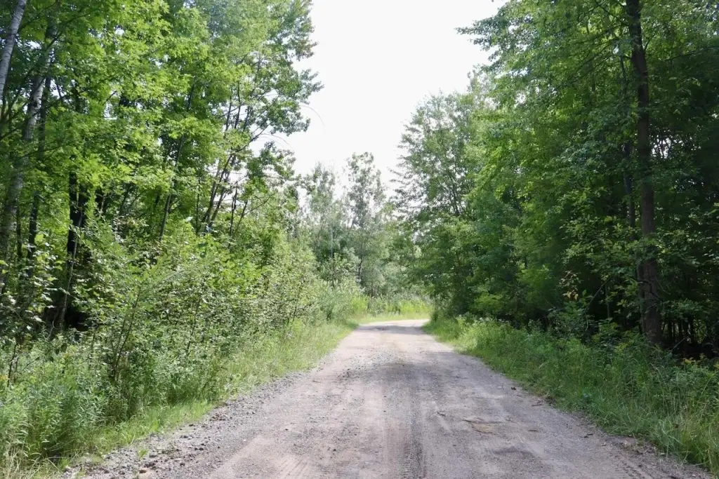 Picture 48