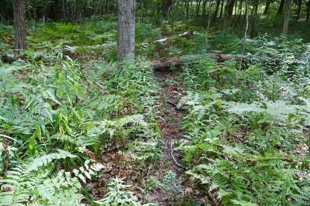 Picture 9