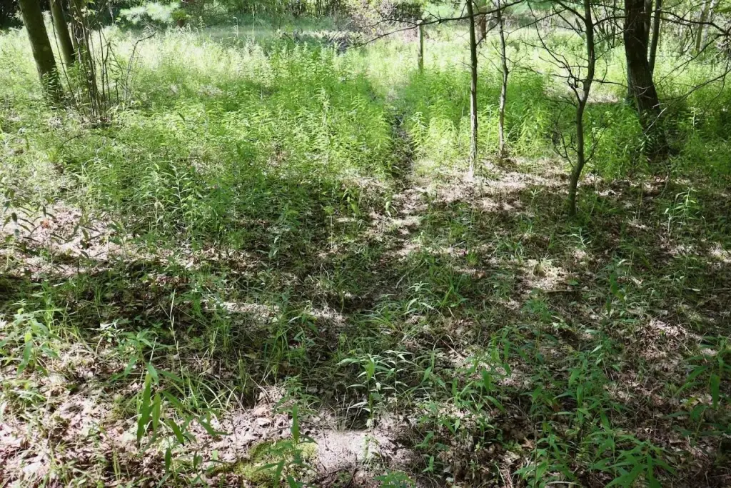 Picture 39