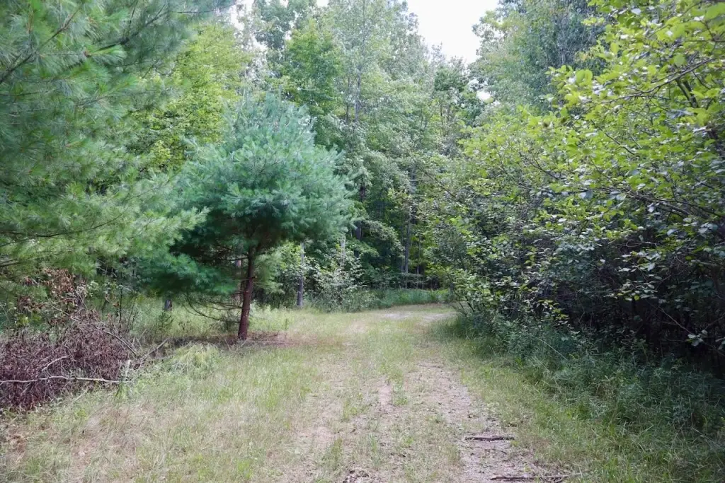 Picture 36
