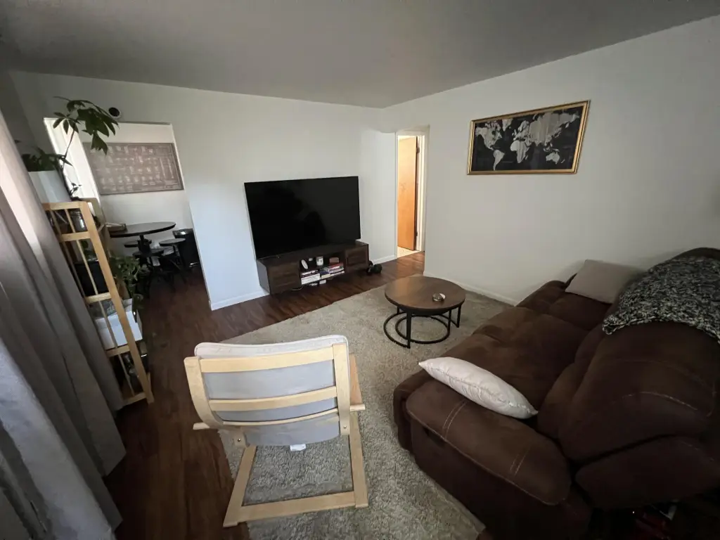 Picture 17