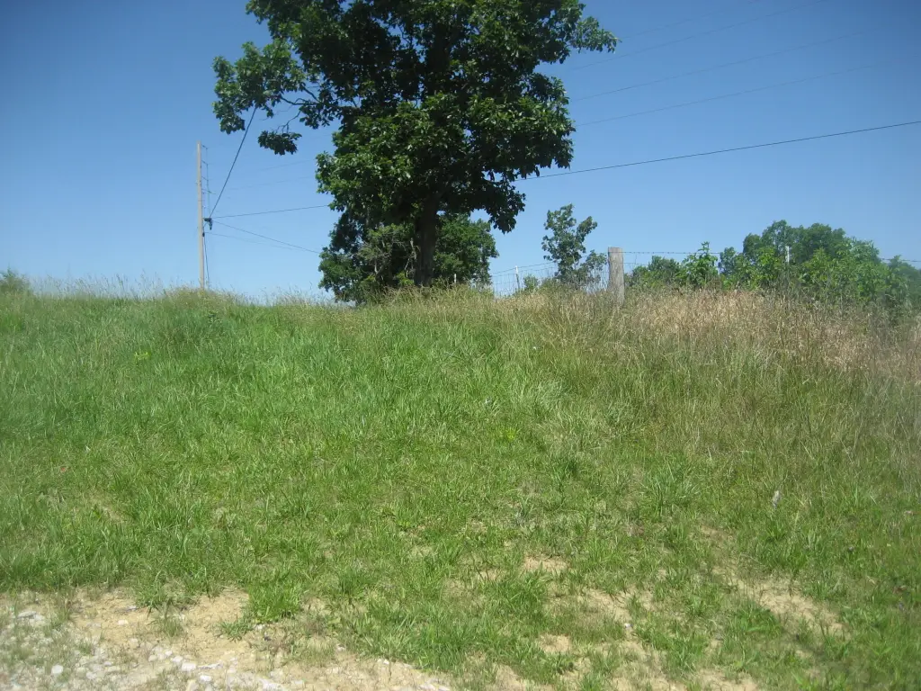 Picture 10