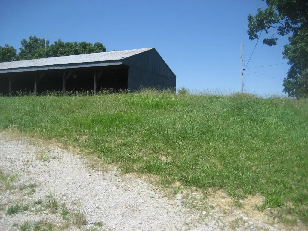 Picture 4