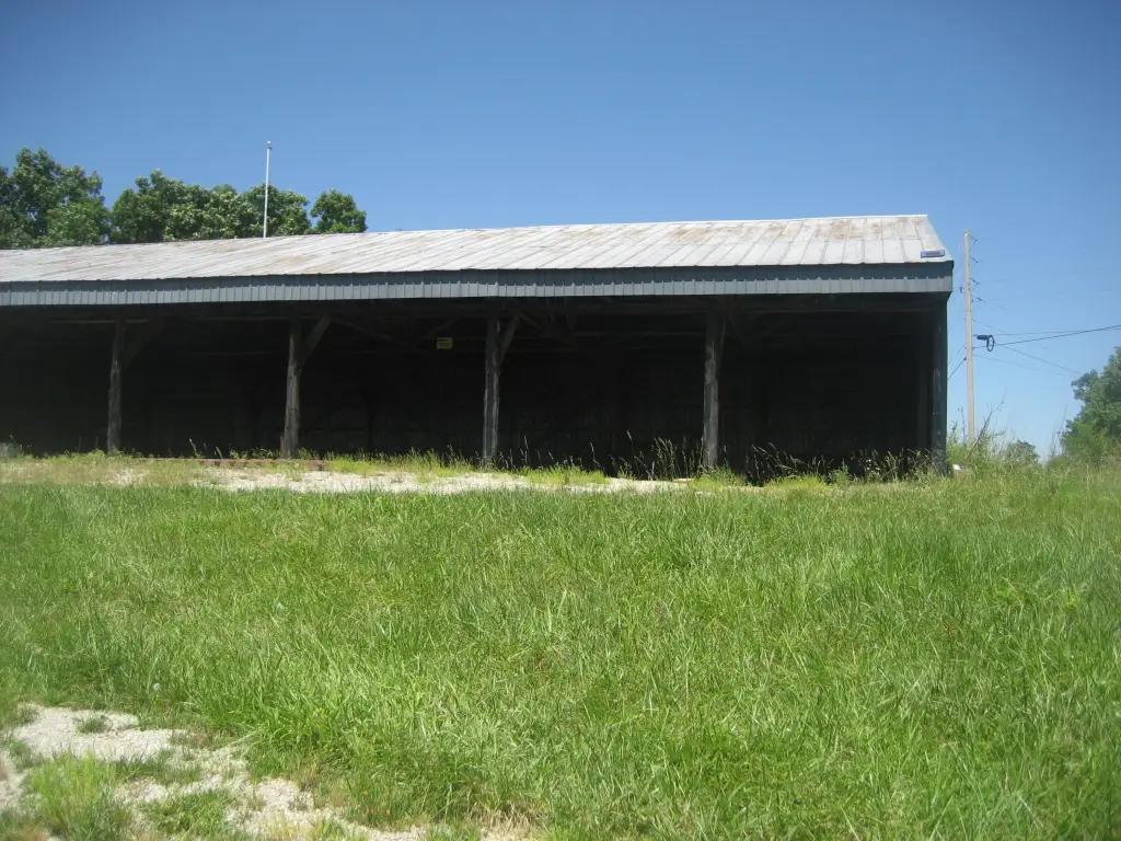 Picture 5