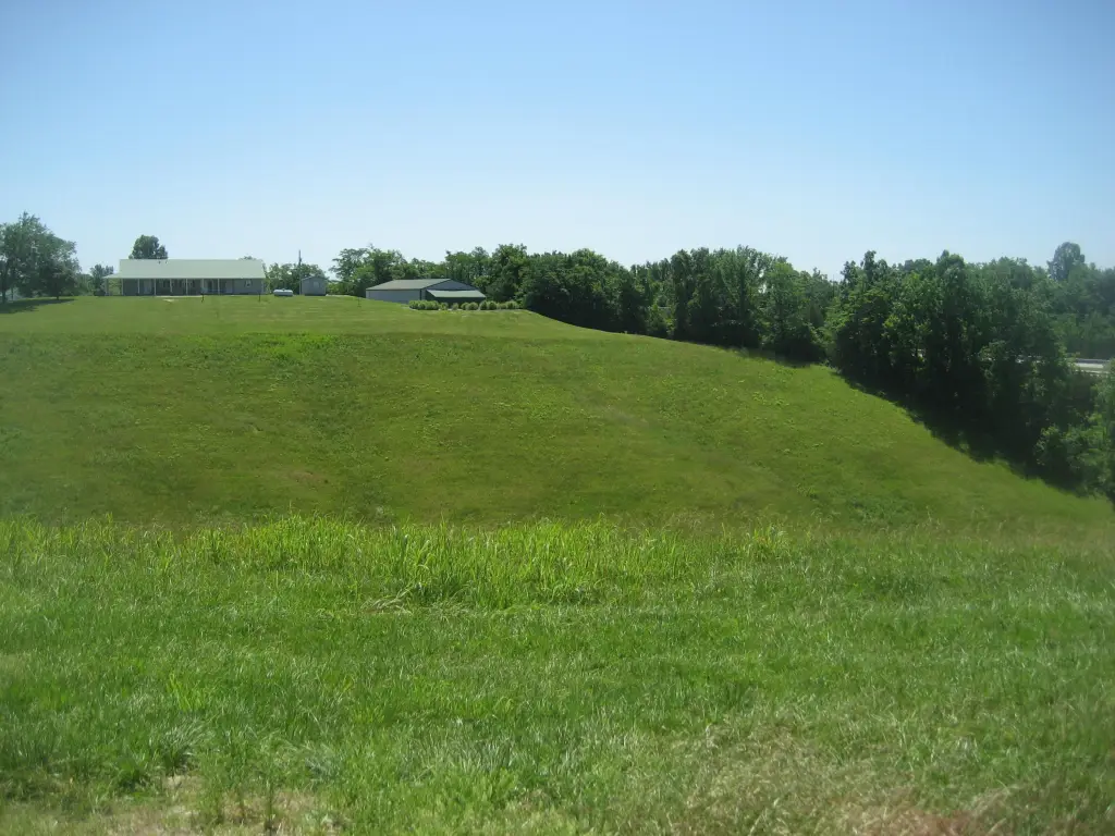 Picture 15