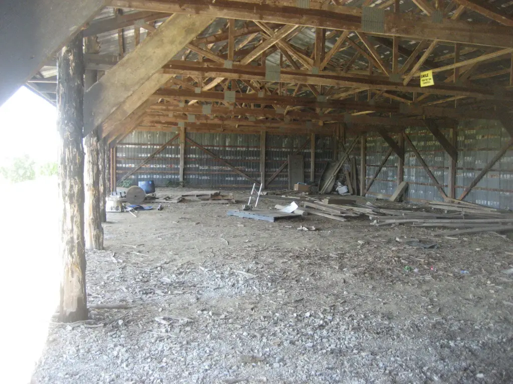 Picture 11