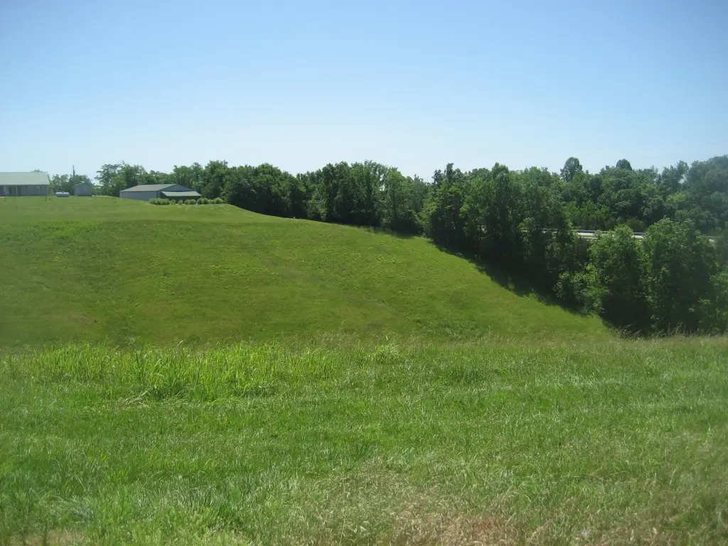 Picture 16