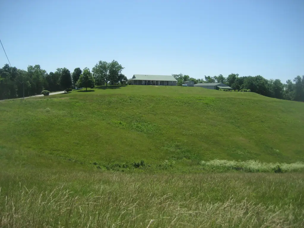 Picture 6