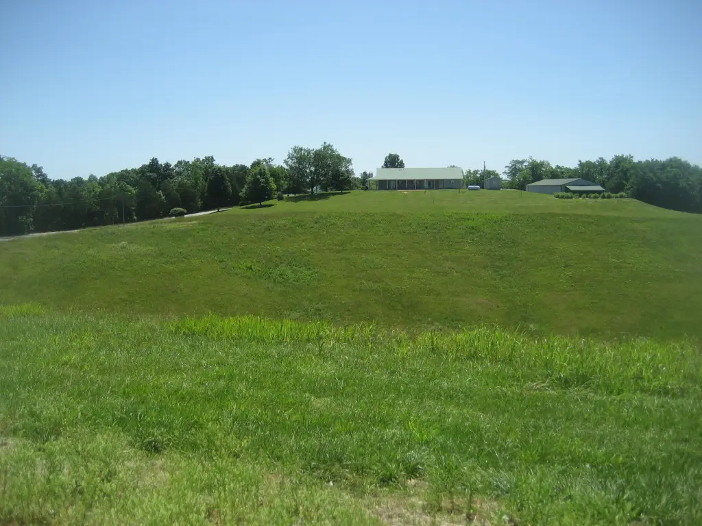 Picture 14