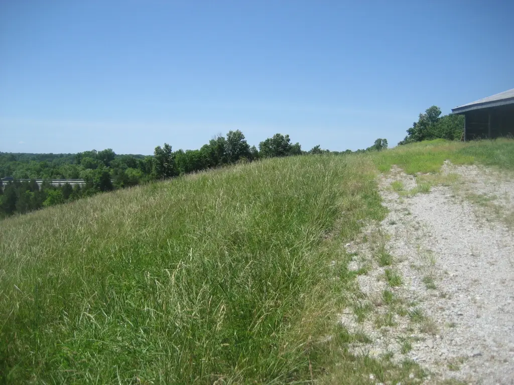 Picture 9