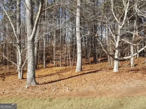 Hawks Ridge Golf Course Homesite