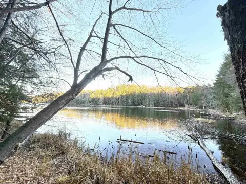Little Archibald Lake Residential Lot
