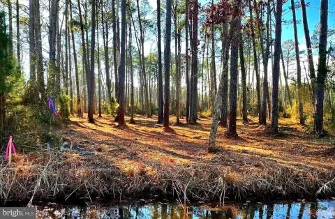 Versatile 1.2-Acre Lot