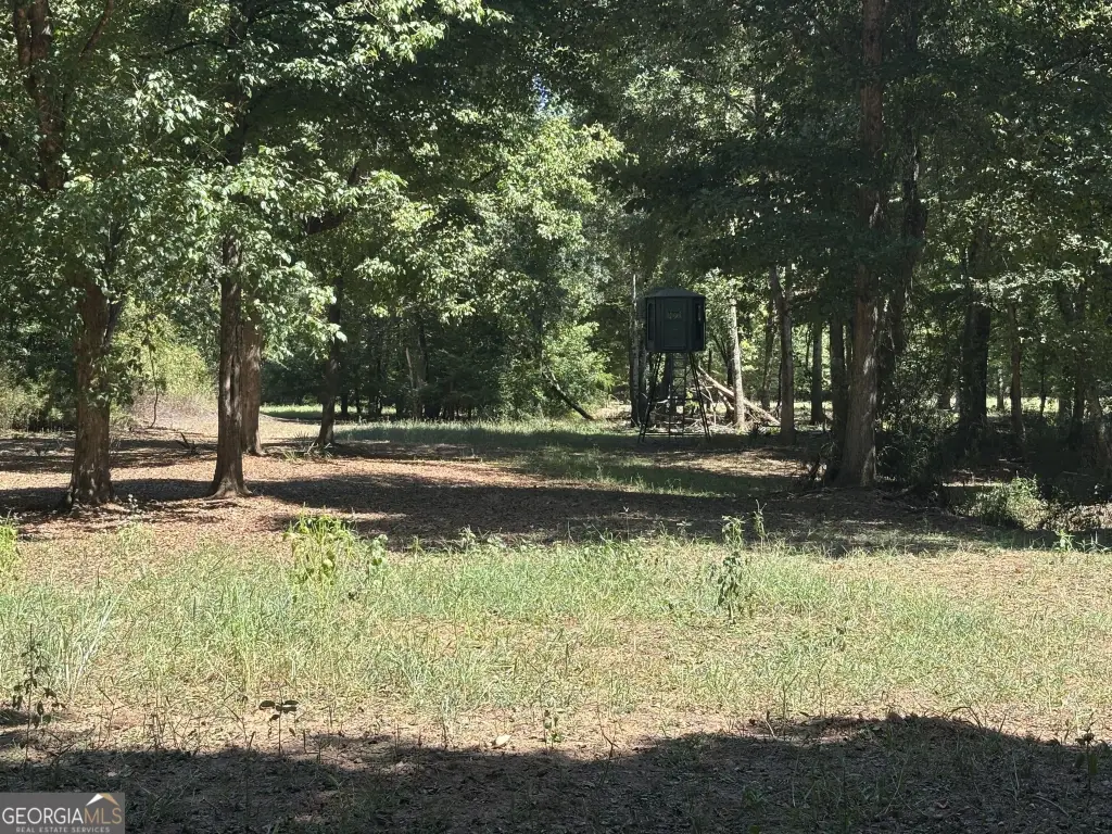 Picture 21