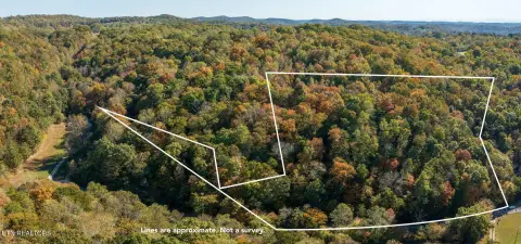 Rocky Top Land Near Norris