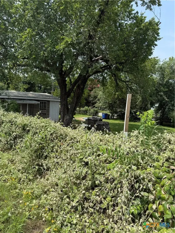 Picture 25