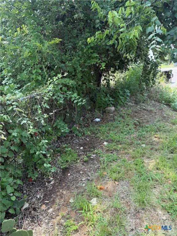 Picture 8