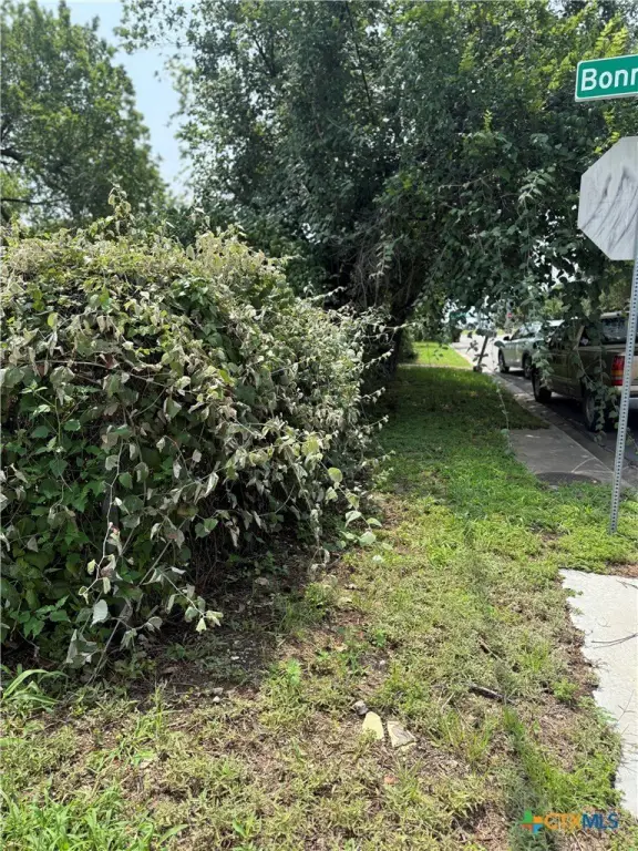 Picture 18