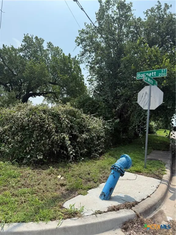 Picture 28