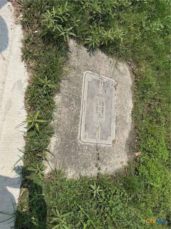 Picture 23
