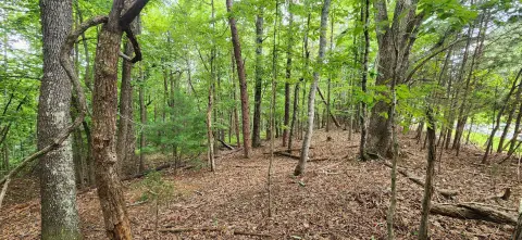 Acreage Land Parcel