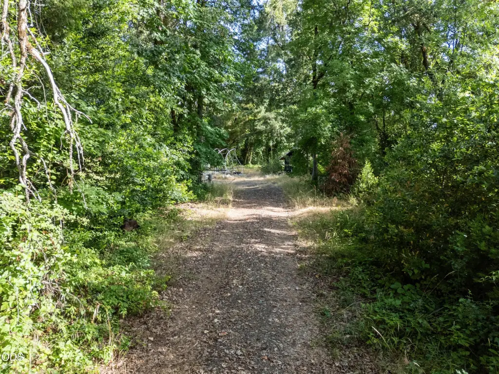 Picture 4