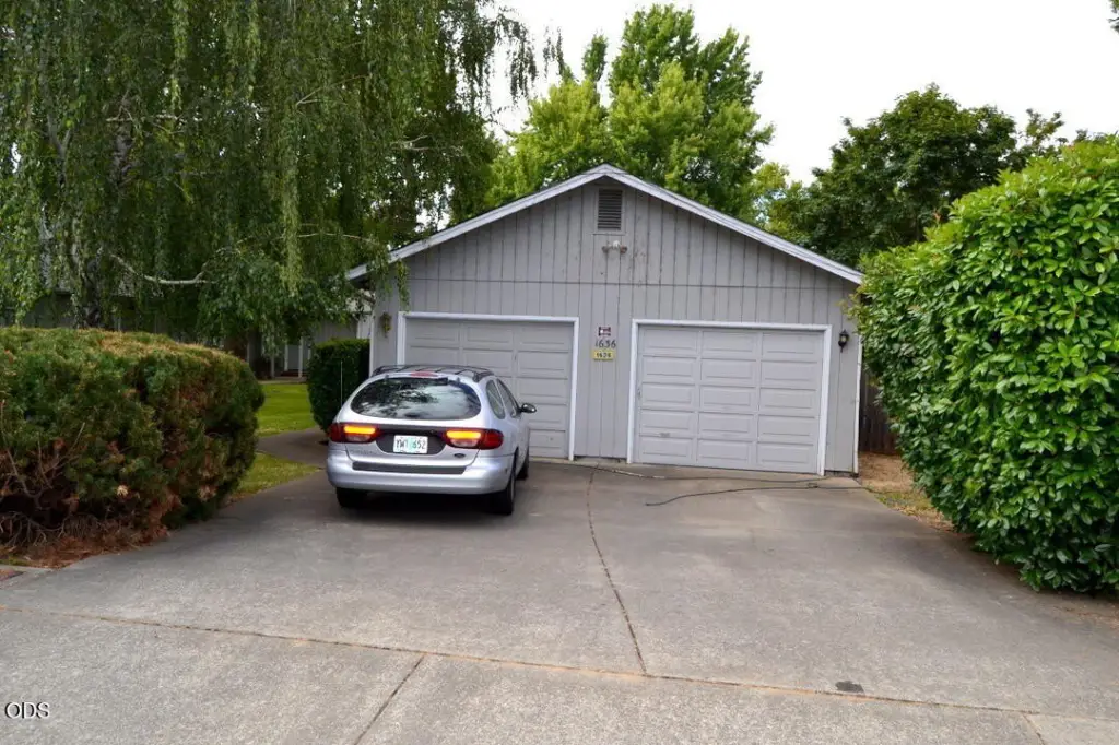 Picture 19