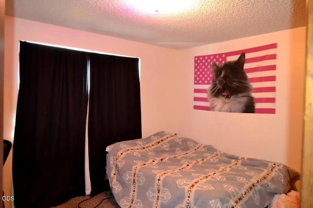 Picture 14