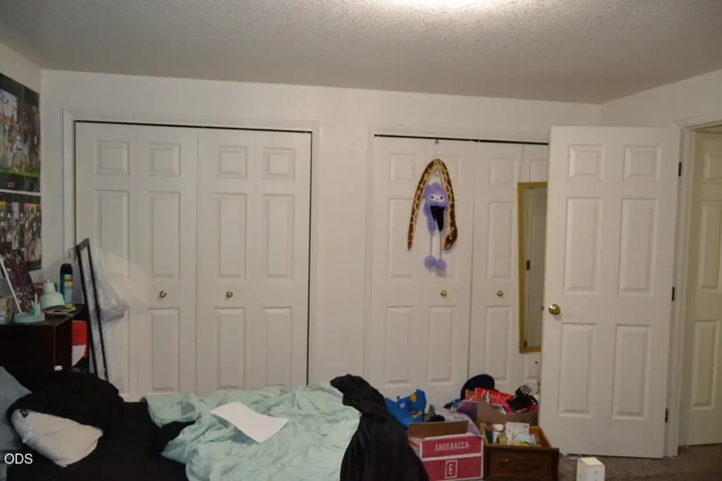 Picture 12