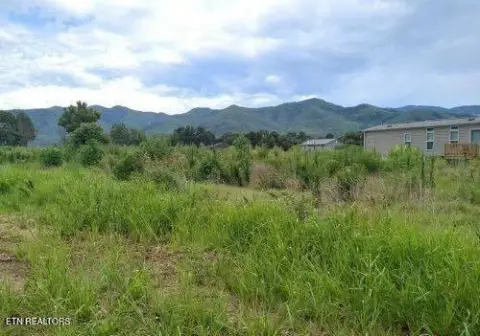 Cleared Land in Chuckey, TN