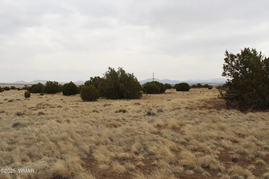 Picture 21