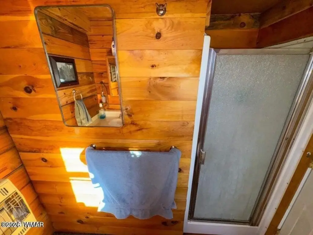 Picture 31