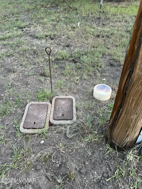 Picture 5