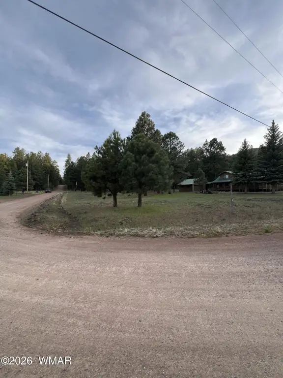 Picture 4