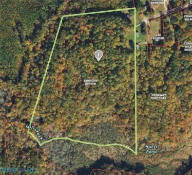 Wooded Hunting Land