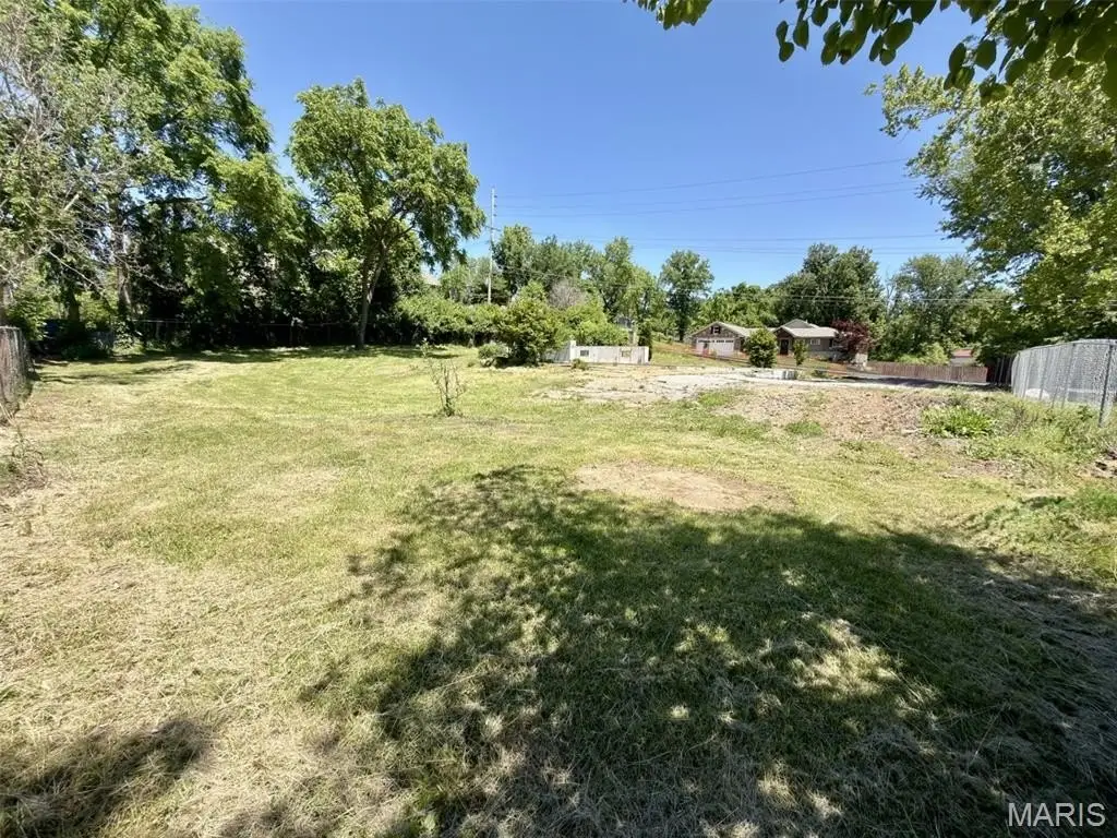 Picture 3