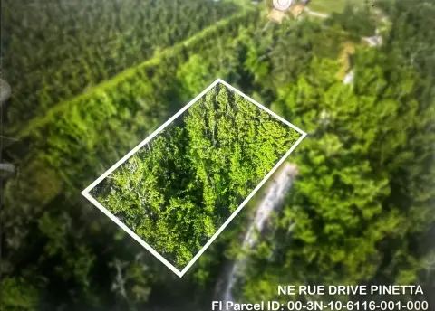 Pinetta, Florida Wooded One-Acre Lot