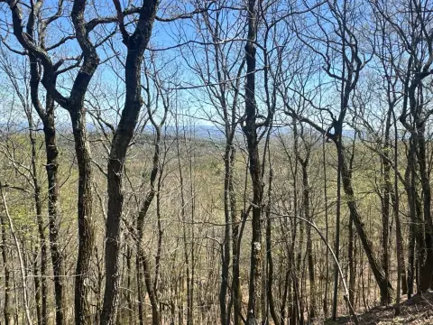 Expansive Land in New Baltimore, NY