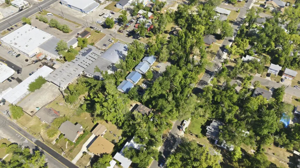 Picture 21