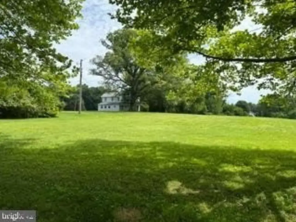 Picture 7